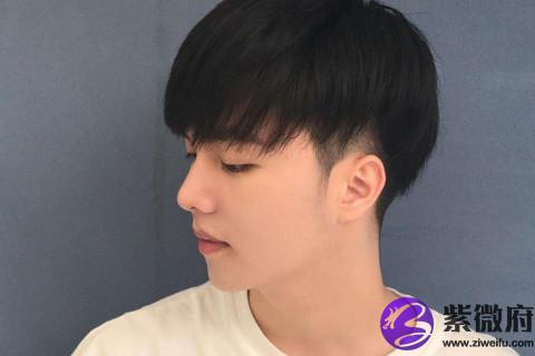 星座生肖性格解读 属兔的狮子座是什么命运性格