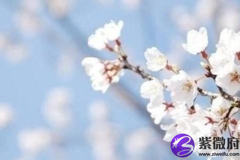 2020年水瓶座5月运势 2020年水瓶座五月份运势