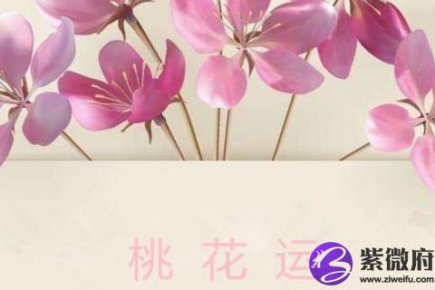 双子座桃花运旺吗 双子座的人如何旺桃花