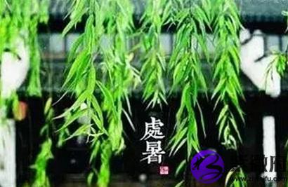 2020年农历什么时候出伏第一天，处暑和出伏的区别(图文)