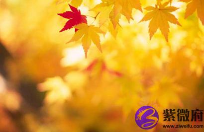 2020年秋天什么时候开始凉快，处暑还热吗？(图文)