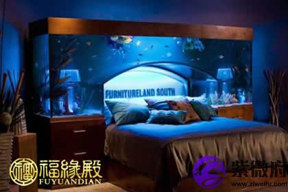 详解：卧室鱼缸摆放位置的正确方法(图文)