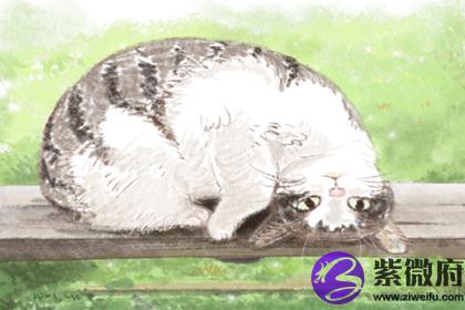 生辰八字测算 炉中火命人会有好姻缘吗(图文)