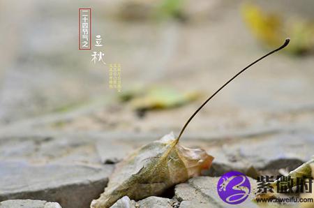2020年立秋是几月几日几点几分开始,立秋截止时间是哪天？(图文)