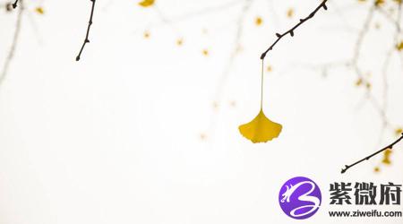 2020年立秋出生猪宝宝是八字喜火命理吗,八字喜火有何特点？(图文)