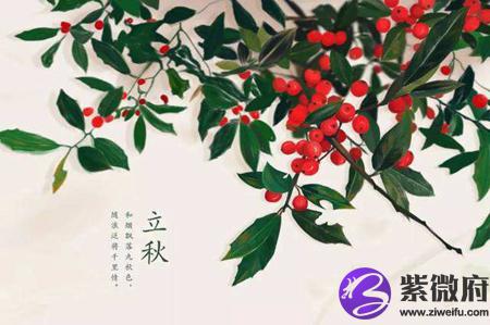 2020年立秋出生猪宝宝是八字喜火命理吗,八字喜火有何特点？(图文)