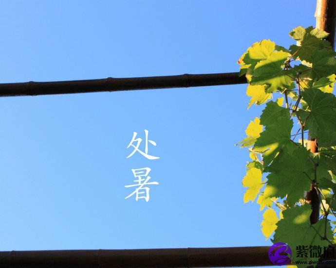 处暑节气的由来是什么？2020年处暑节气有什么讲究(图文)