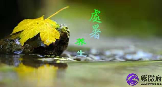 处暑节气的由来是什么？2020年处暑节气有什么讲究(图文)