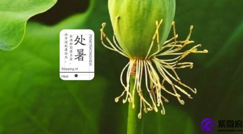 处暑的什么季节，2020年处暑日子好吗？(图文)