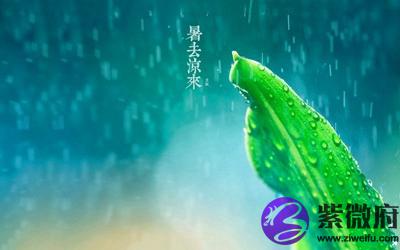 2020年立秋出生的男孩命运如何？立秋到了就是秋天吗？(图文)