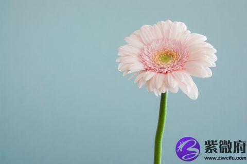 属猴的人在1992年9月出生命运如何,92年属猴性格优缺点解析！(图文)