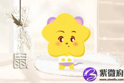 2020年72年属鼠人47岁应该注意什么(图文)