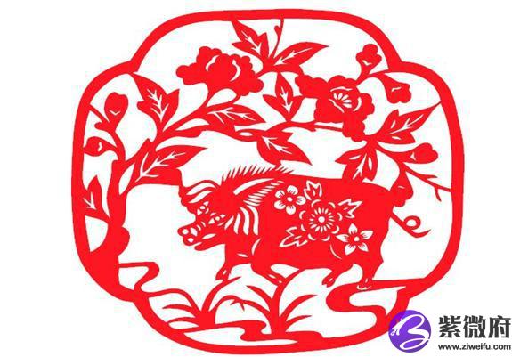 71年猪是什么星座