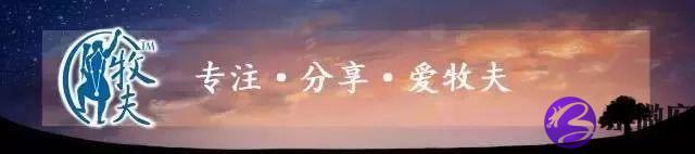 北半球夏季星座