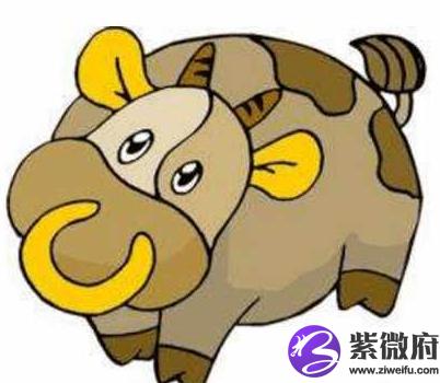 17年农历4月14 出生是什么星座
