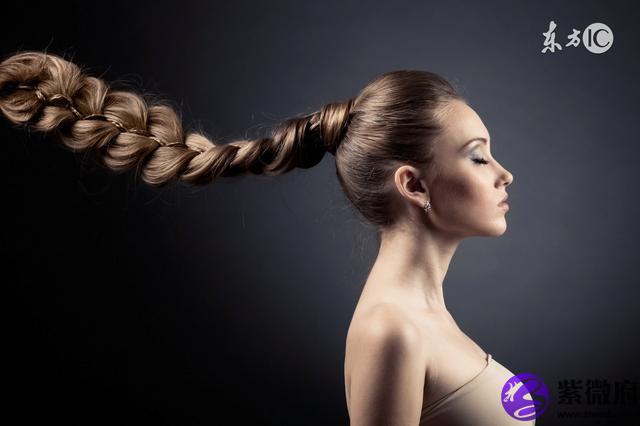 12星座胸排名榜