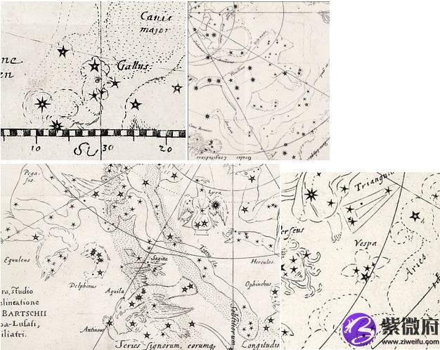 星座大乱斗哪家公司的