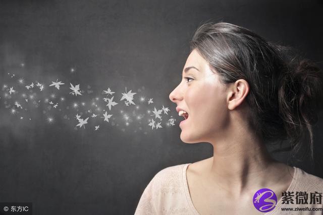 1995年8月22是什么星座