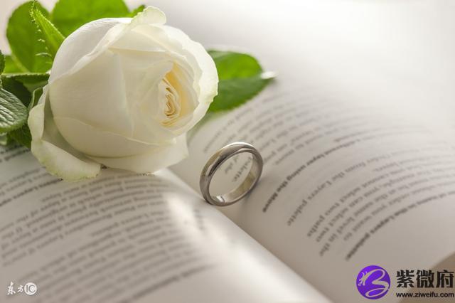 蛇夫座与十二星座配对