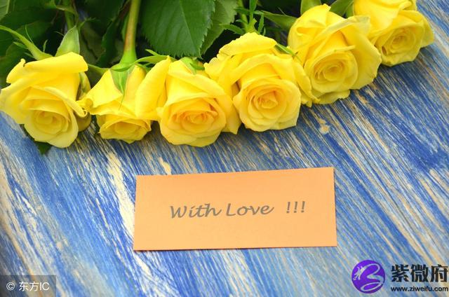 9月 初十是什么星座的