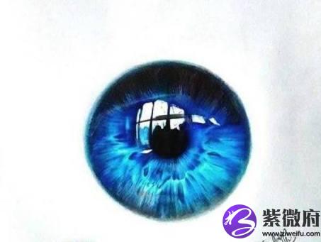 十二星座的眼睛 铅笔画图片大全图片大全