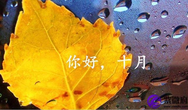 1990年阴历十月十六是什么星座