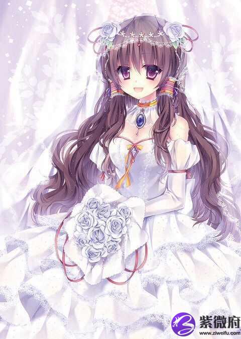 十二星座的动漫代表人物