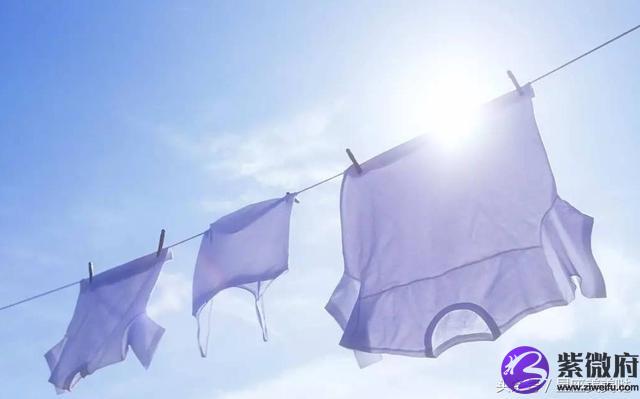 法国潘神星座香水价格