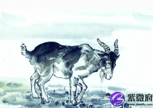 属羊3月是什么星座