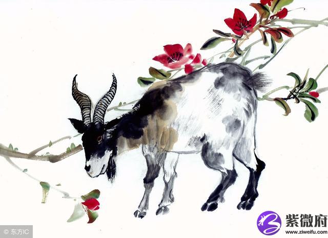 属羊的星座是什么