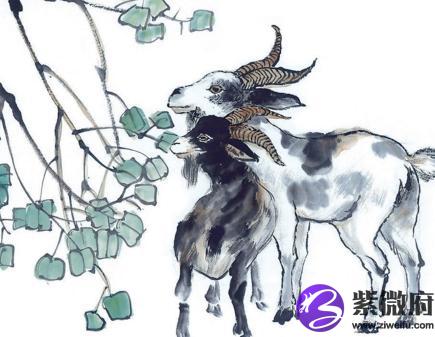36岁星座