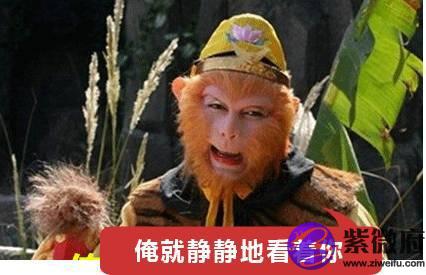 快手猴哥什么星座