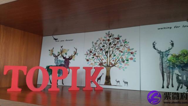 星座用韩文怎么写