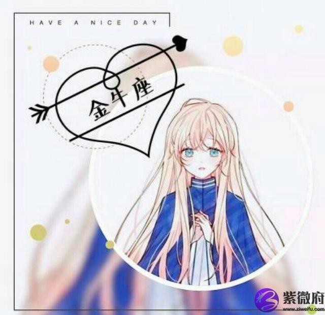 十二星座美女主播