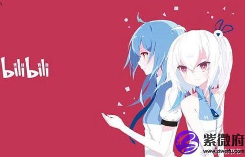 bilibili生日星座图