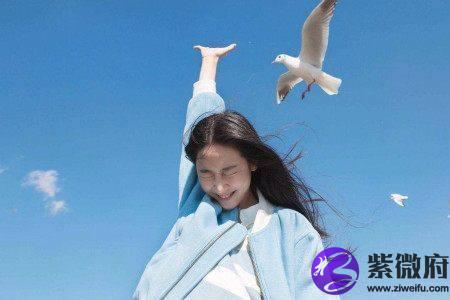 水向星座和火向星座