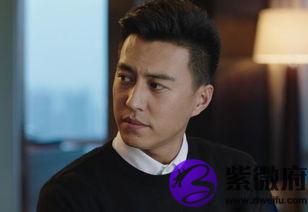 欢乐颂里面的星座