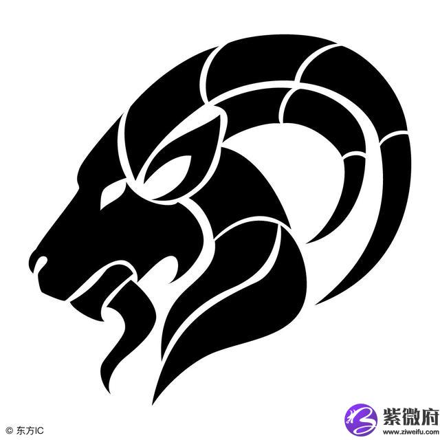 黄渤 星座分析