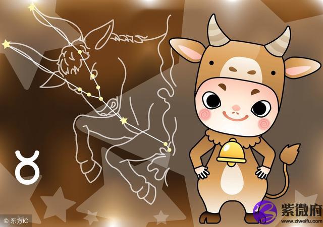 亡灵法师星座宝宝