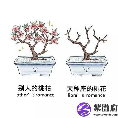 星座恋人 百度云