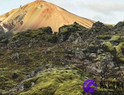 1971年四月十八号什么星座