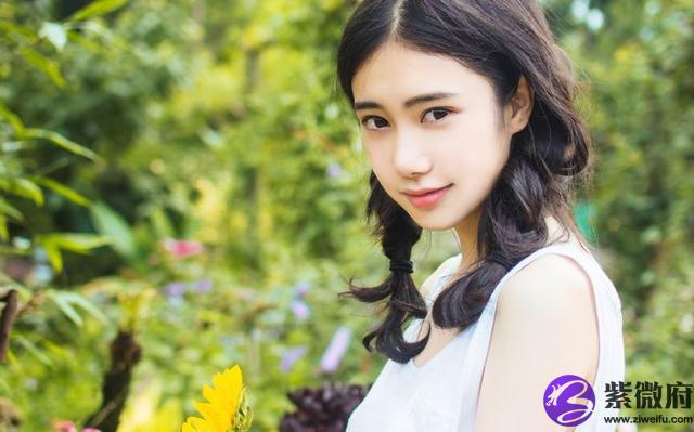 星座蛋壳毒蛇大赛