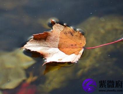 1990年阴历五月二十七是什么星座