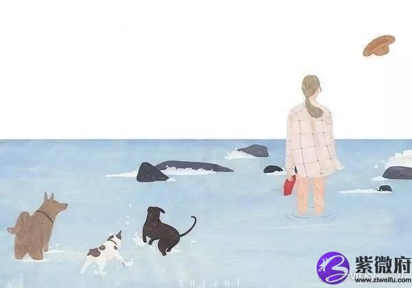 2020年最准星座运程