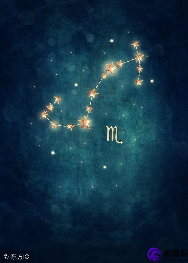 公历11月2号什么星座是什么意思