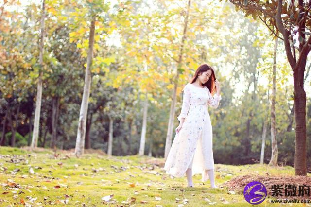 科技紫薇星座网首页