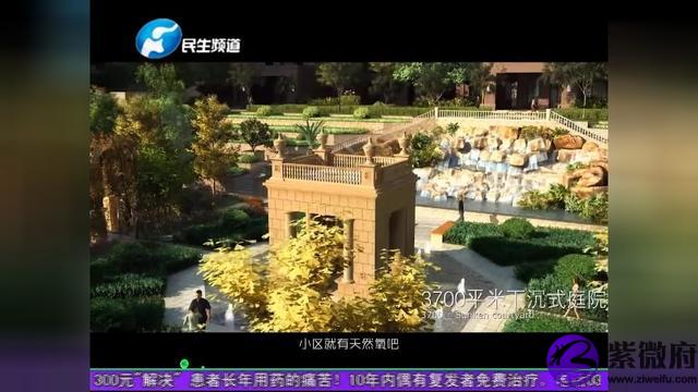王小亚星座