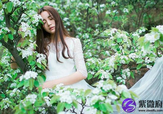 属猪的八月初四是什么星座