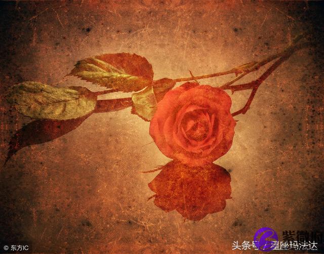 玛法达星座2020年5月