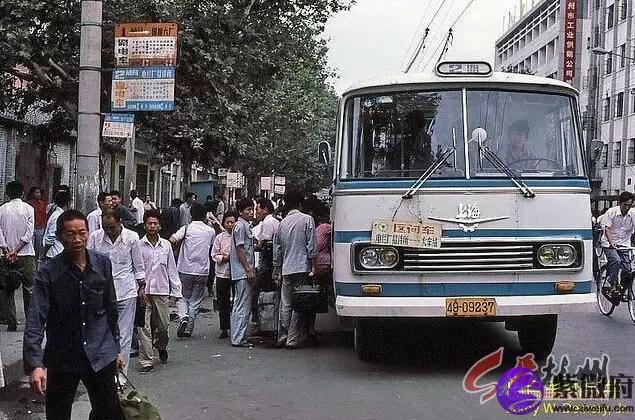 1983年的猪是什么星座